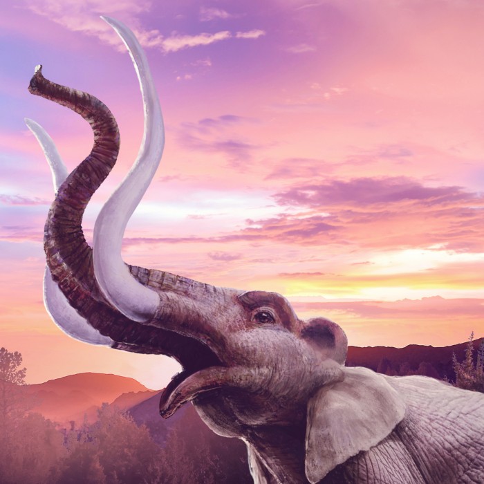 Mammoth and Mastodons hero image