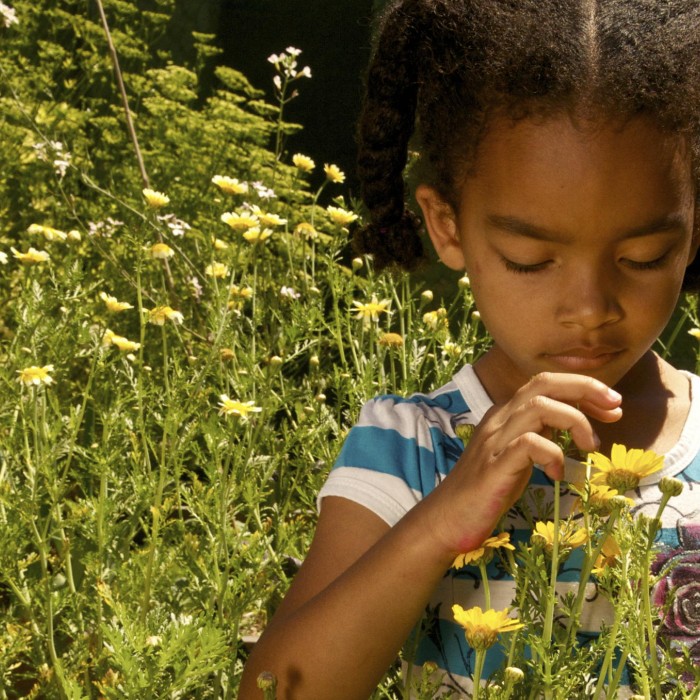 kid explores nature in backyard