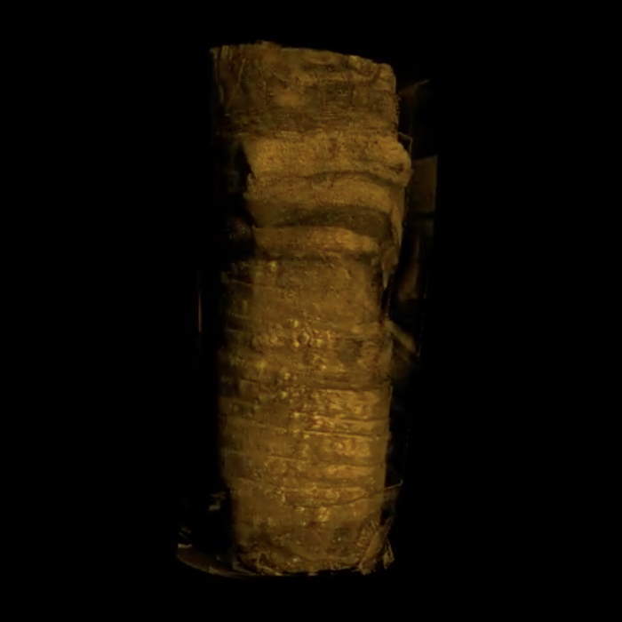 Still image of CAT scan of a mummified cat