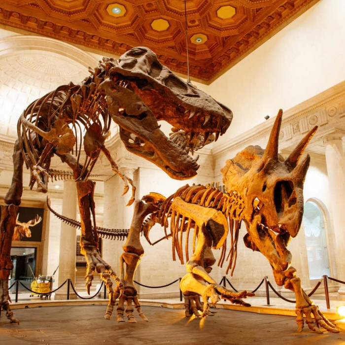 Dueling Dinos in the Grand Foyer
