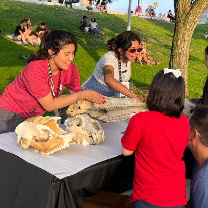 Museum Educators showing fossils on a table to children