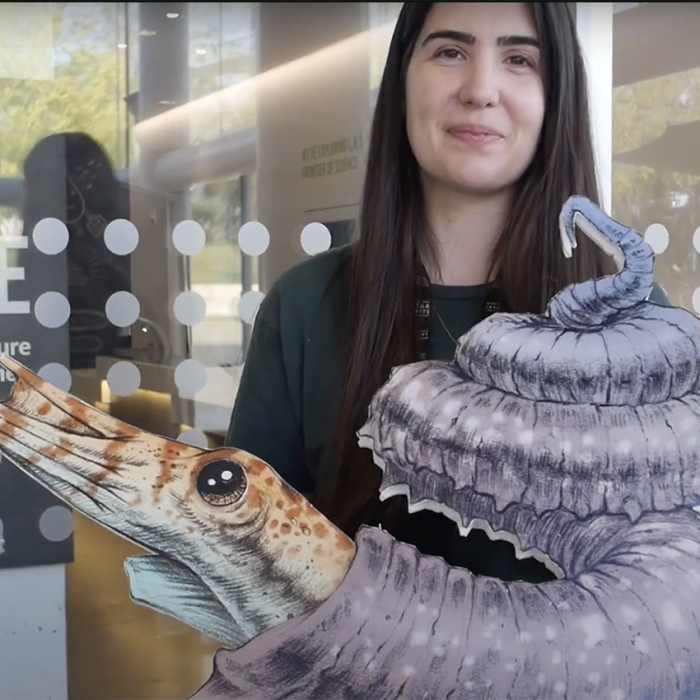 Juliet Hook holding a flat cut-out of an ammonite with a purple shell and orange and white striped head with tentacles 