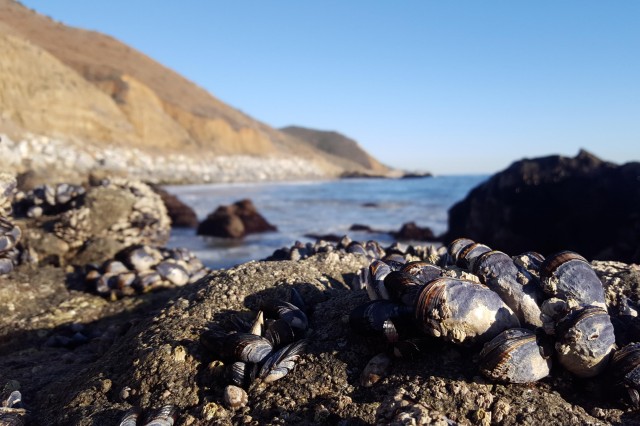 southern california coast image