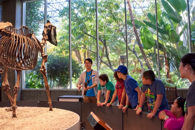 kids on a tour in front of smilodon skeleton at the tar pits