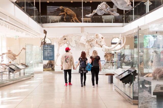 Three people look at mastodon skeleton in Age of Mammals