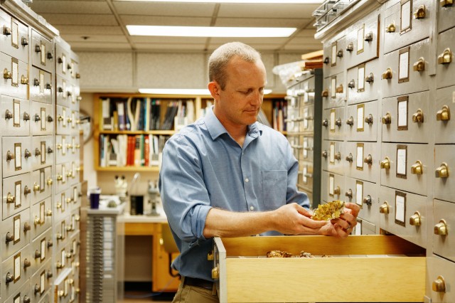 aaron celestian in gem collections 