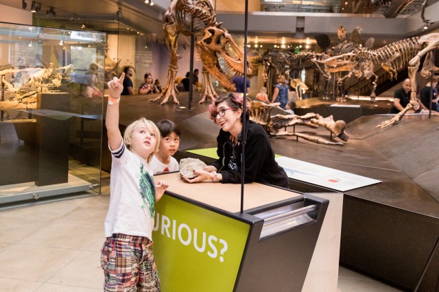 gallery interpreter at curiosity cart talking to a child in Dinosaur Hall