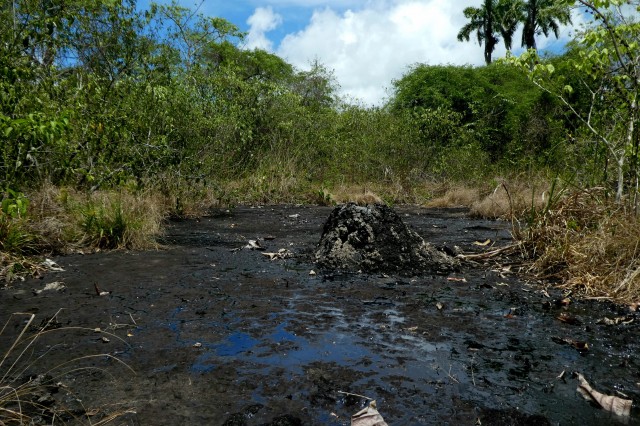 Wild tar pit in Trinidad