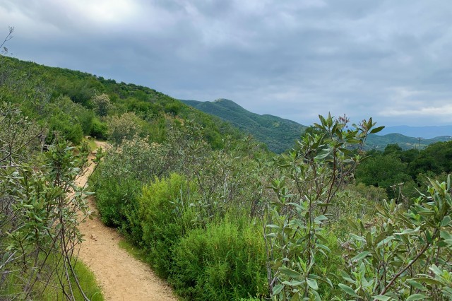 View of a hiking trail at Placerita Canyon