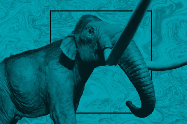 Art for La Brea Tar Pits Master Planning (Mammoth against blue background)