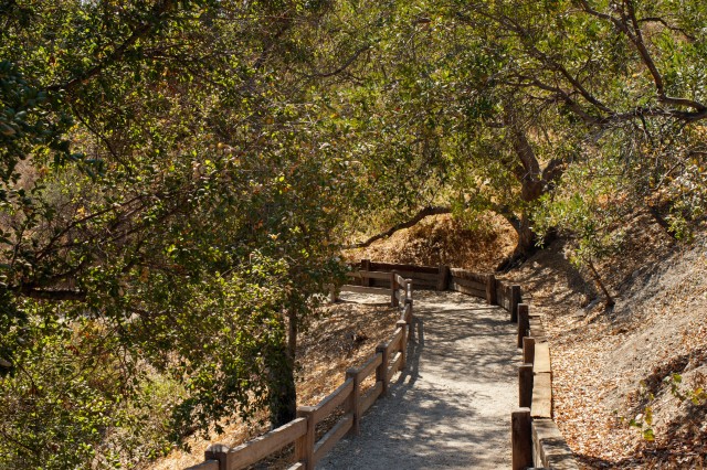 hart ranch trees pathway oak