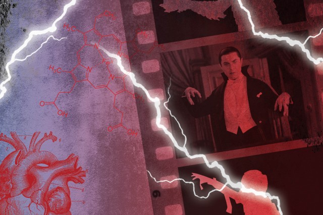Image of Dracula from film within film strip 