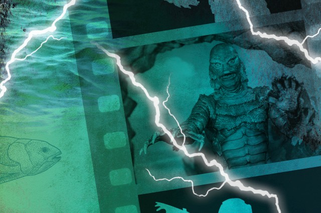 Exhibition graphic featuring Creature within a film strip 
