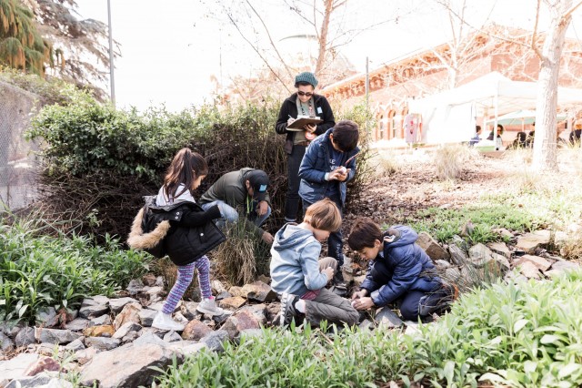 Youth using plastic vials to look closer at insects.