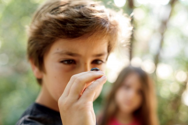 Child looking closely at pill bug in his hand.