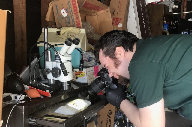 Preparator James Preston working on fossils from home.
