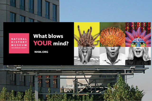 MindblownLA billboard