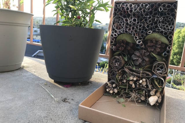 Image of a completed Bug Hotel