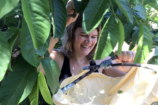 Woman holding beat sheet under a leafy bush