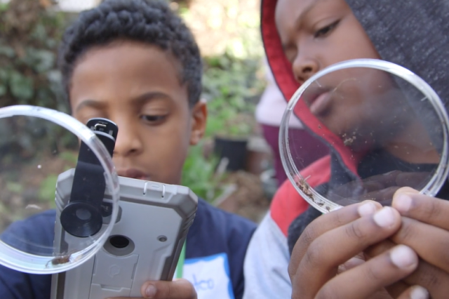 Two kids hold up petri dishes. One kid uses a cell phone to take a photograph of an insect inside of the petri dish.