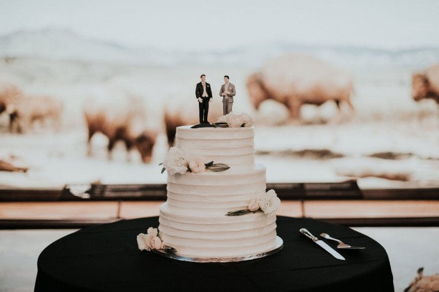 A wedding cake is displayed in front of the bison diorama in the North American Mammal Hall