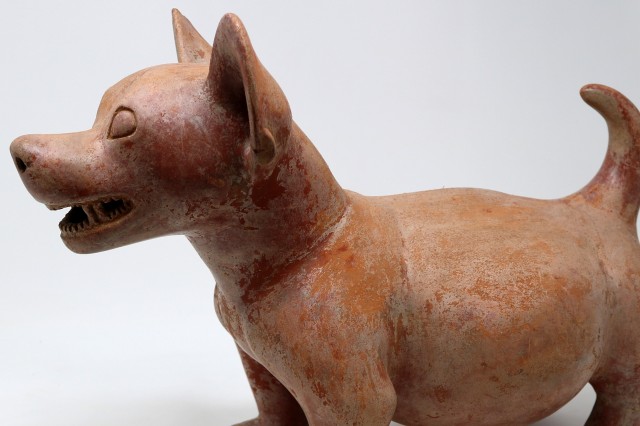 Colima Dog made of clay 