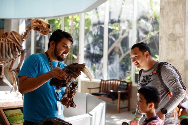 A man holds a saber-toothed cat skull with jaw agape, a father and son observe excitedly