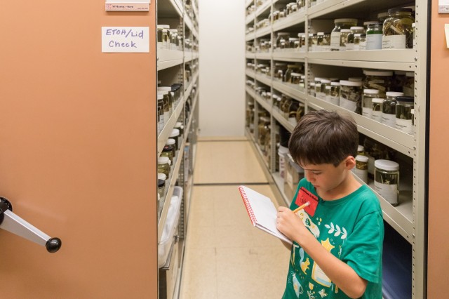 boy in green shirt writes in a notebook standing between shelves with jars on them