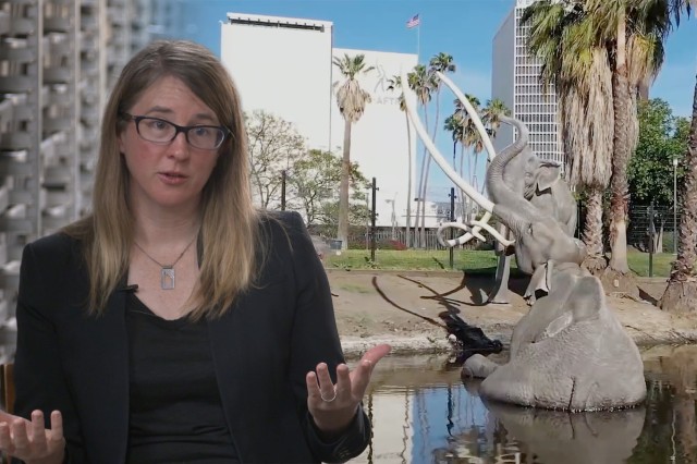 Extinction Study La Brea Tar Pits Emily Lindsey video