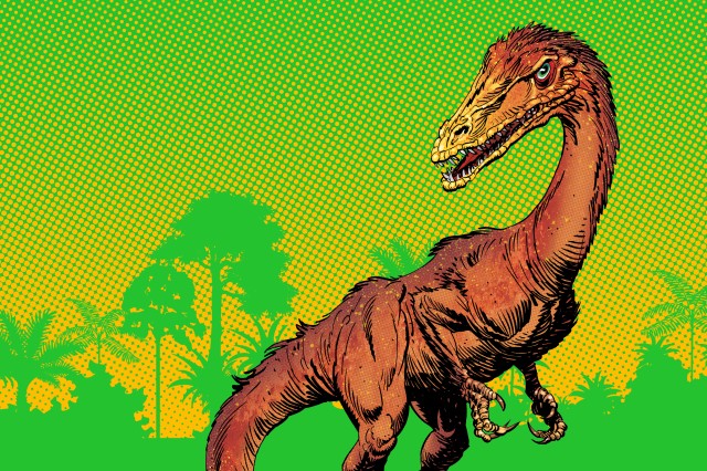 Dino Fest 2023 art featuring Coelophysis