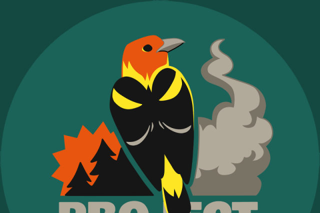 Project Phoenix Icon Green