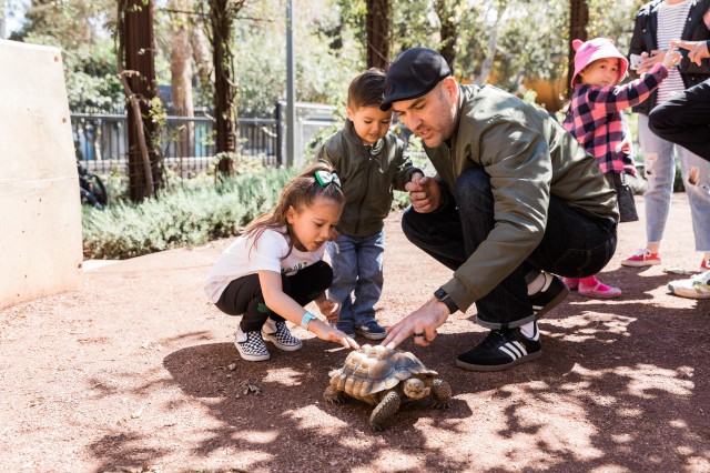 Children and adult meeting a desert tortoise 