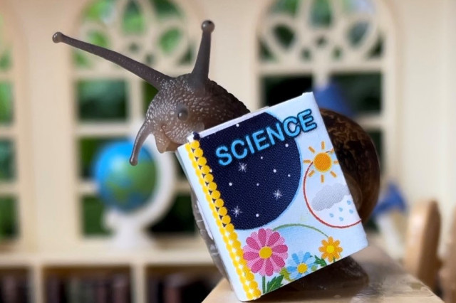 Snail in a tiny desk with a tiny science notebook
