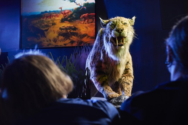 Saber-toothed cat puppet facing audience members