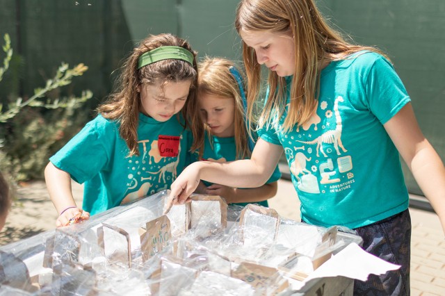 Children looking and pointing at specimens in clear cases inside the top of a gray cart