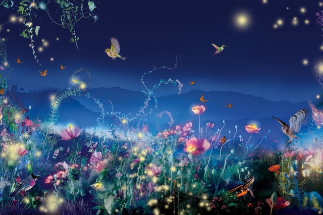 Glowing hummingbirds, flwers, and circles of light against a backdrop of mountains and blue sky 