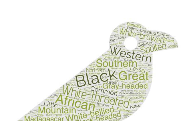 An silhouette of a bird filled with naming words like &#039;black&#039; &#039;western&#039; etc