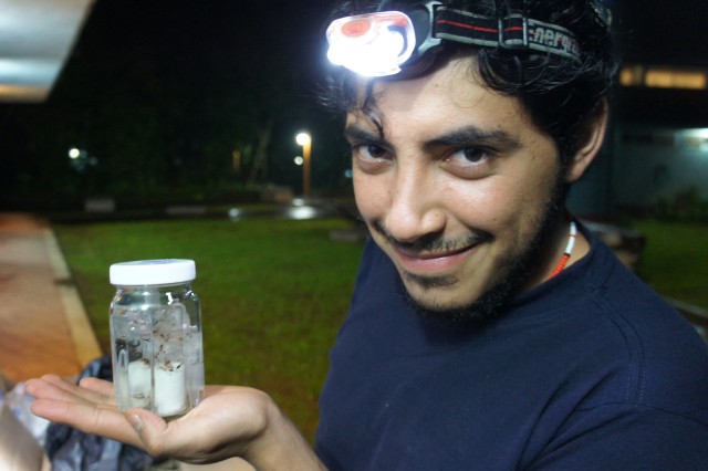 Dr. Rodrigo Monjaraz Ruedas holding specimens in a jar and wearing a head lamp at night