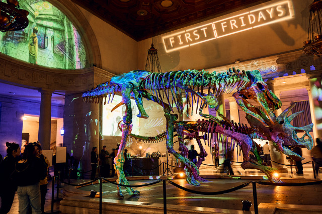 Two dinosaur skeletons with green and purple light projected over them and First Fridays projected on the wall behind them