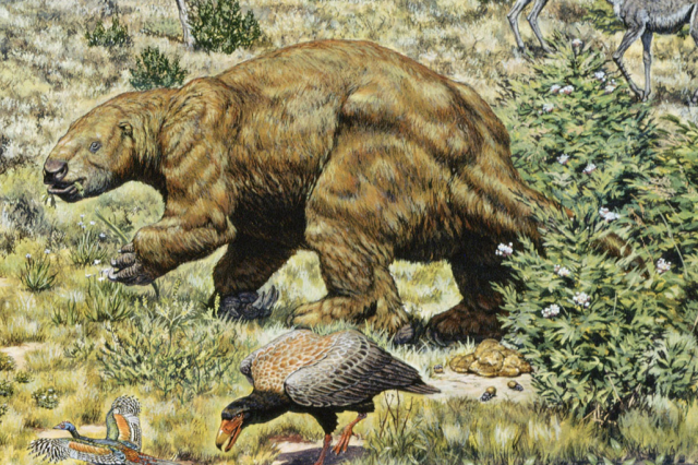 Hallett mural zoomed in showing ground sloth and feces