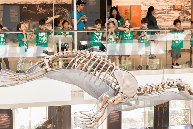Children on a balcony looking at a hanging sea creature skeleton