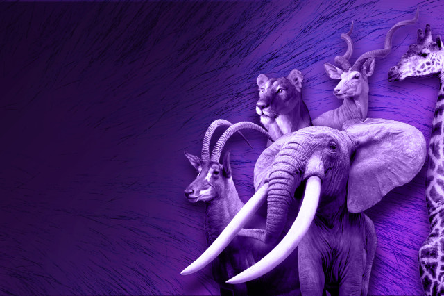 Purple elephant, large cat, giraffe, and antlered animals against a purple background