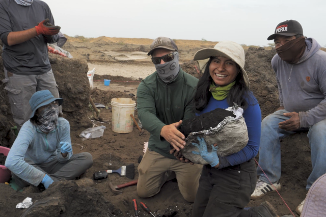 Excavators, wearing masks and hats, gathered around a dig site 