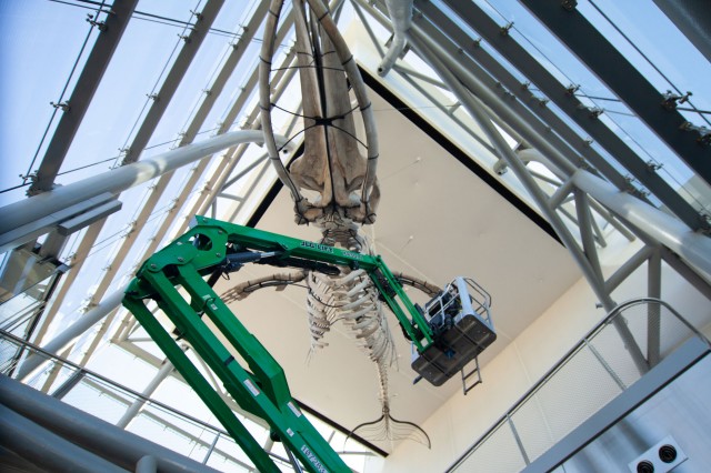 fossil store pavilion