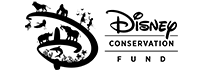 disney conservation logo black