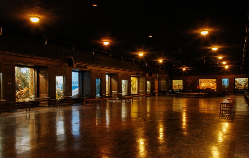 north american mammal hall level 2 empty
