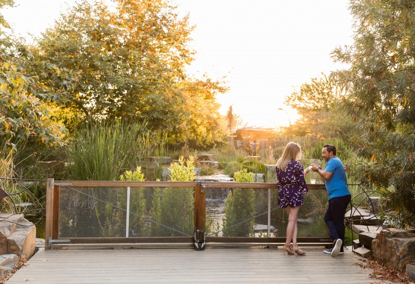 couple standing at pond deck in nature gardens