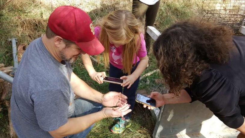 Charlotte’s dad John holds a Jerusalem cricket while Charlotte and Lila snap photos.