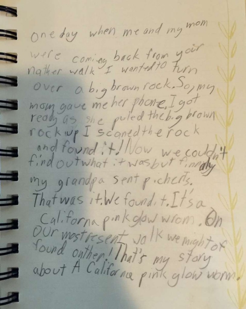 Charlotte’s handwritten account of her find.