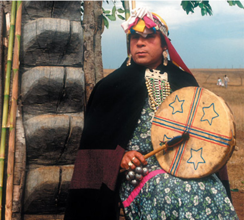 Beyond Gender Indigenous Perspectives Mapuche Natural History 